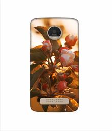 Amazon Brand - Solimo Designer Flowers 3D Printed Hard Back Case Mobile Cover for Motorola Moto Z Play