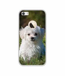 Amazon Brand - Solimo Designer White Dog UV Printed Soft Back Case Mobile Cover for Apple iPhone 5 / 5S