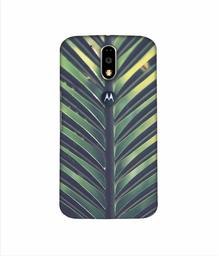 Amazon Brand - Solimo Designer Leaf Texture 3D Printed Hard Back Case Mobile Cover for Motorola Moto G4 Plus (with Logo Cut)