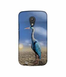 Amazon Brand - Solimo Designer Bagula 3D Printed Hard Back Case Mobile Cover for Motorola Moto G 2nd Generation