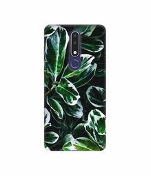 Amazon Brand - Solimo Designer Leaf Imperation 3D Printed Hard Back Case Mobile Cover for Nokia 3.1 Plus