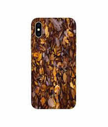 Amazon Brand - Solimo Designer Dry Leafs 3D Printed Hard Back Case Mobile Cover for Apple iPhone Xs Max