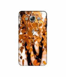 Amazon Brand - Solimo Designer Autumn Photography 3D Printed Hard Back Case Mobile Cover for Samsung Galaxy E5