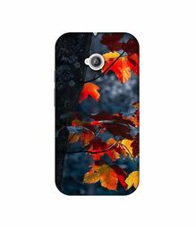 Amazon Brand - Solimo Designer Autumn Leaf 3D Printed Hard Back Case Mobile Cover for Motorola Moto E 2nd Generation