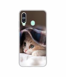 Amazon Brand - Solimo Designer Sleepy Kitten UV Printed Soft Back Case Mobile Cover for Samsung Galaxy M40