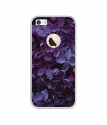 Amazon Brand - Solimo Designer Purple Flowers UV Printed Soft Back Case Mobile Cover for Apple iPhone 5 / 5S