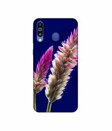 Amazon Brand - Solimo Designer Wheat Flower 3D Printed Hard Back Case Mobile Cover for Samsung Galaxy M21