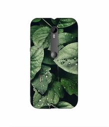 Amazon Brand - Solimo Designer Leafs 3D Printed Hard Back Case Mobile Cover for Motorola Moto G 3rd Generation