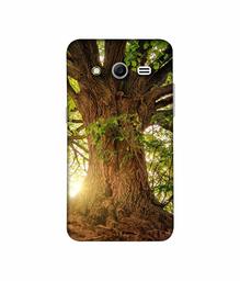 Amazon Brand - Solimo Designer Tree Trunk 3D Printed Hard Back Case Mobile Cover for Samsung Galaxy Core 2 G355H