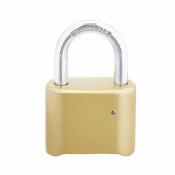 AmazonBasics AB-PL106 Cadenas, Lot de 2, Doré