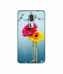 Amazon Brand - Solimo Designer Sun Flower 3D Printed Hard Back Case Mobile Cover for Coolpad Cool1 Dual