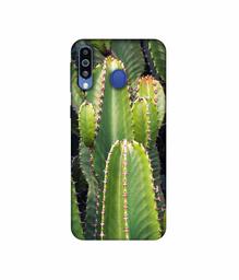 Amazon Brand - Solimo Designer Desert Plant 3D Printed Hard Back Case Mobile Cover for Samsung Galaxy M21
