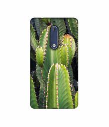 Amazon Brand - Solimo Designer Desert Plant 3D Printed Hard Back Case Mobile Cover for Nokia 5