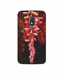 Amazon Brand - Solimo Designer Flowers Photograpy 3D Printed Hard Back Case Mobile Cover for Motorola Moto G4 Play