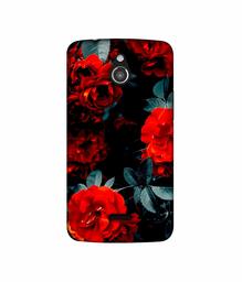 Amazon Brand - Solimo Designer Rose Photography 3D Printed Hard Back Case Mobile Cover for InFocus M2