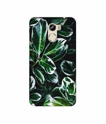 Amazon Brand - Solimo Designer Leaf Imperation 3D Printed Hard Back Case Mobile Cover for Gionee X1