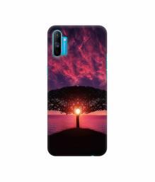 Amazon Brand - Solimo Designer Nature Digital Painting 3D Printed Hard Back Case Mobile Cover for Realme C3