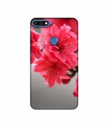 Amazon Brand - Solimo Designer Blossom Like Flower 3D Printed Hard Back Case Mobile Cover for Huawei Honor 7A