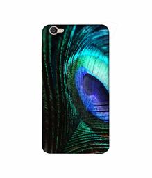 Amazon Brand - Solimo Designer Peacock Feather 3D Printed Hard Back Case Mobile Cover for Vivo V5