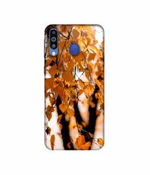 Amazon Brand - Solimo Designer Autumn Photography 3D Printed Hard Back Case Mobile Cover for Samsung Galaxy M21