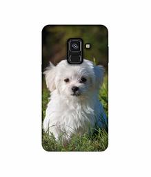 Amazon Brand - Solimo Designer White Dog UV Printed Soft Back Case Mobile Cover for Samsung Galaxy A8 Plus