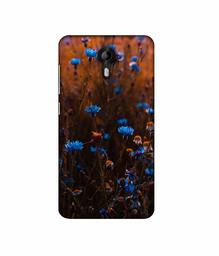 Amazon Brand - Solimo Designer Flower Photograpy 3D Printed Hard Back Case Mobile Cover for Micromax Canvas Nitro 4G E455