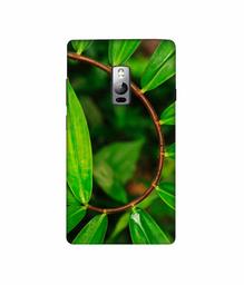 Amazon Brand - Solimo Designer Leaf Photography 3D Printed Hard Back Case Mobile Cover for OnePlus 2