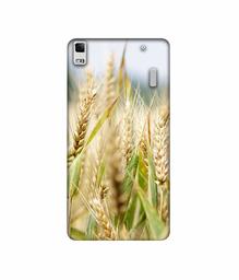 Amazon Brand - Solimo Designer Wheat Plant 3D Printed Hard Back Case Mobile Cover for Lenovo K3 Note