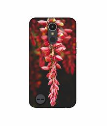 Amazon Brand - Solimo Designer Flowers Photograpy 3D Printed Hard Back Case Mobile Cover for LG K10 (2017)