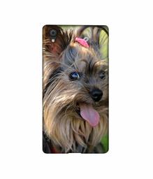 Amazon Brand - Solimo Designer Hairy Puppy 3D Printed Hard Back Case Mobile Cover for Oneplus X