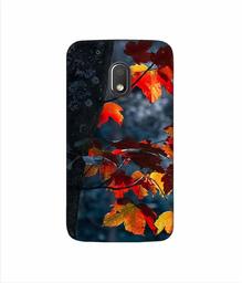 Amazon Brand - Solimo Designer Autumn Leaf 3D Printed Hard Back Case Mobile Cover for Motorola Moto G4 Play