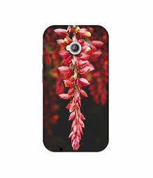 Amazon Brand - Solimo Designer Flowers Photograpy 3D Printed Hard Back Case Mobile Cover for Motorola Moto E 2nd Generation