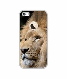 Amazon Brand - Solimo Designer Lion UV Printed Soft Back Case Mobile Cover for Apple iPhone 5 / 5S