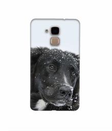 Amazon Brand - Solimo Designer Labrador Dog 3D Printed Hard Back Case Mobile Cover for Huawei Honor 5c