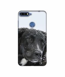 Amazon Brand - Solimo Designer Labrador Dog 3D Printed Hard Back Case Mobile Cover for Huawei Honor 7A