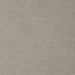 Rivet Grey Gum Swatch, Rivet