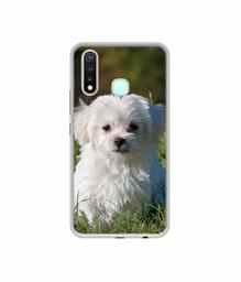 Amazon Brand - Solimo Designer White Dog UV Printed Soft Back Case Mobile Cover for Vivo Y19