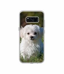 Amazon Brand - Solimo Designer White Dog UV Printed Soft Back Case Mobile Cover for Samsung Galaxy S8