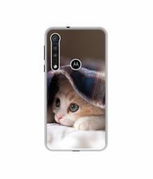 Amazon Brand - Solimo Designer Sleepy Kitten UV Printed Soft Back Case Mobile Cover for Motorola One Macro