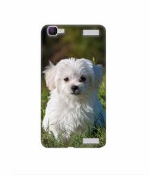 Amazon Brand - Solimo Designer White Dog 3D Printed Hard Back Case Mobile Cover for Vivo V1 Max