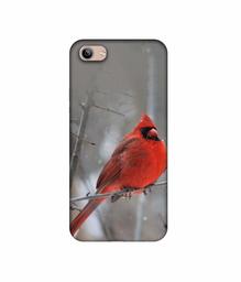 Amazon Brand - Solimo Designer Red Engry Bird 3D Printed Hard Back Case Mobile Cover for Vivo Y81i