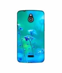 Amazon Brand - Solimo Designer Blue Flower 3D Printed Hard Back Case Mobile Cover for InFocus M2