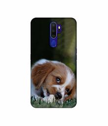 Amazon Brand - Solimo Designer Cute Puppy 3D Printed Hard Back Case Mobile Cover for Oppo A9 (2020)