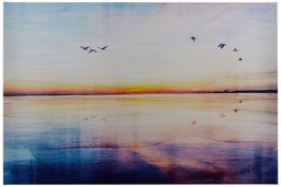 Amazon Brand – Rivet Seagulls Across The Water Sunset Horizon Canvas Print Wall Art, 24