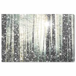 Amazon Brand – Stone & Beam Modern Silver and White Forest Print on Canvas Bathroom Wall Art Decor, 24