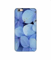 Amazon Brand - Solimo Designer Light Blue Flower Photography 3D Printed Hard Back Case Mobile Cover for Oppo F1s