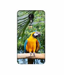 Amazon Brand - Solimo Designer Macaw Bird 3D Printed Hard Back Case Mobile Cover for Micromax Canvas Nitro 4G E455