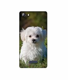 Amazon Brand - Solimo Designer White Dog 3D Printed Hard Back Case Mobile Cover for Micromax Canvas 5 E481