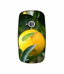 Amazon Brand - Solimo Designer Lemon 3D Printed Hard Back Case Mobile Cover for Nokia 3310