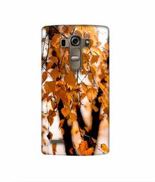 Amazon Brand - Solimo Designer Autumn Photography 3D Printed Hard Back Case Mobile Cover for LG G4 Stylus